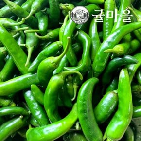 국내산 아삭이 고추 2kg내외