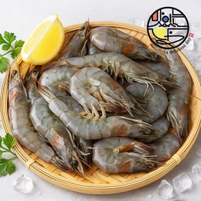 제철 활 흰다리새우 2kg/72미내외