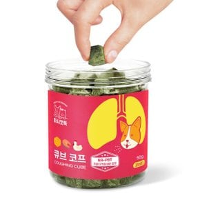 (유통 26.10)마시캣독 큐브 코프 50g 강아지 기관지 호흡기 영양제