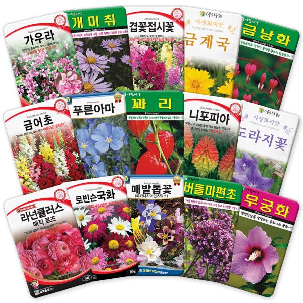 씨앗마켓 각종 다년생 꽃씨앗 모음 야생화 꽃씨 종자 - SSG.COM