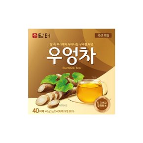 [담터] 우엉차 (40g40T)