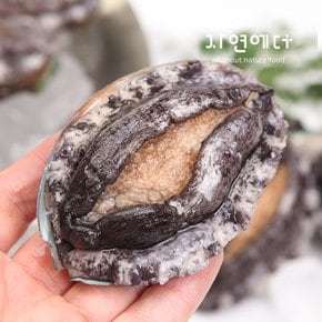 산지직송 완도 전복 1kg 22~25미