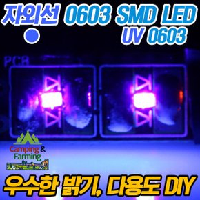 0603 초미니 SMD LED 1.6x0.8mm 극소형 (자외선UV/DIY