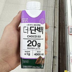 더 단백 드링크 초코 250ml 아이스박스포장