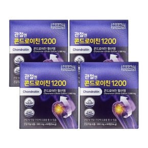 주영엔에스 관절엔 콘드로이친 1200 900mg x 60정 관절 연골 건강 3개