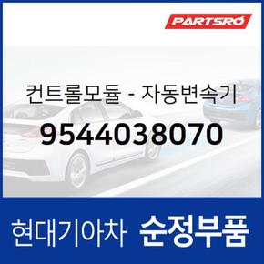 컨트롤모듈-자동변속기 (9544038070) 그랜저/다이너스티 현대모비스부품몰