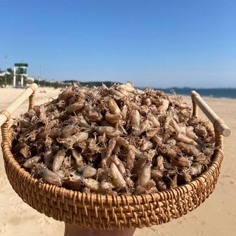  국산 꼴뚜기 300g 상급 건꼴뚜기 마른꼴뚜기 건어물