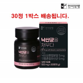 낙산균 유산균 포스트바이오틱스 비피더스 락토바실러스