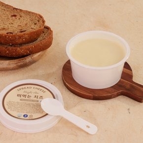 떠먹는 크림 치즈 90g