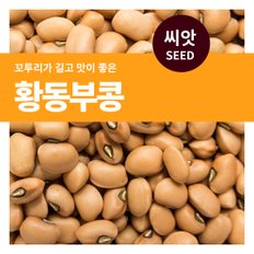 황동부콩 콩 씨앗 30g