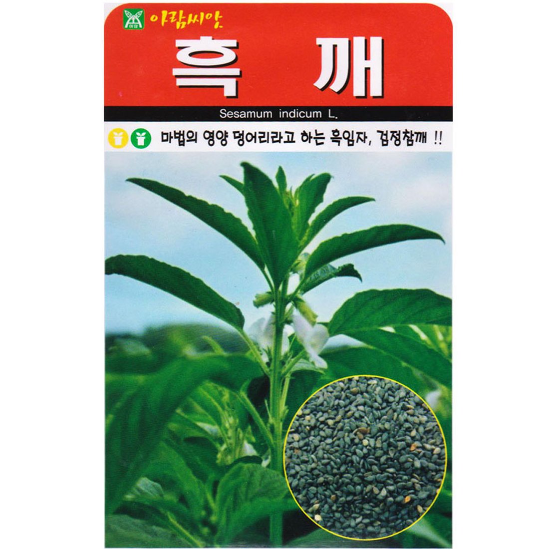 아람 흑깨 씨앗/ 1000립 검정 깨씨앗, 믿고 사는 즐거움 SSG.COM