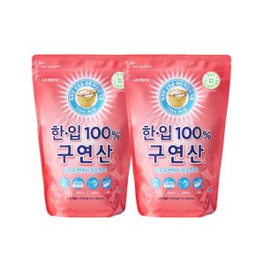 LG생활건강 한입 100% 구연산 1kg 2개