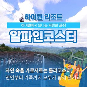 [강원 정선] 하이원리조트 알파인 코스터 이용권 (~26.10.18)