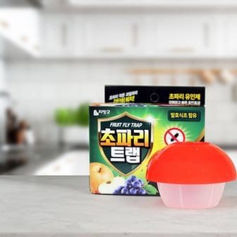  리빙굿 주방 초파리 날파리 트랩