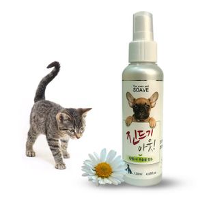 애견스프레이 강아지용품 강아지냄새 제충국 진드 기 스프레이 120ml X ( 2매입 )