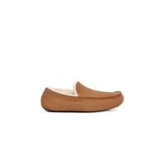 [공식](M)24FW 아스콧Ascot Slipper(1654303007)