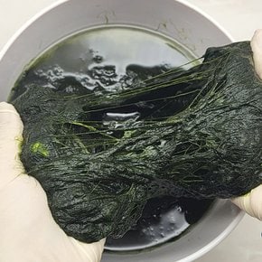 국내산 장흥 찰 매생이 100g X 3팩