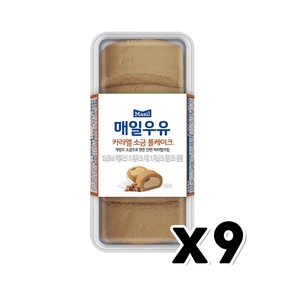 매일우유 카라멜 소금롤케이크 디저트빵 105g x 9개