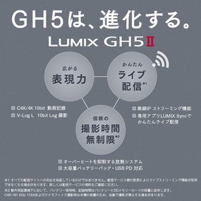 파나소닉 미러리스 일안 카메라 루밋크스 GH5M2보디 블랙 DC-GH5M2