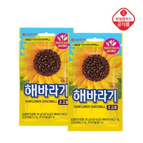 해바라기 초코볼 30g x 10개