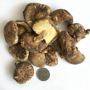 [표고아빠]참나무원목재배 국산 말린 건조 표고버섯[막소립] 600g
