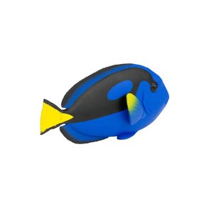 100039 블루탱 Blue Tang