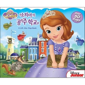 (중고/중)소피아의 공주학교 플레이퓨처북