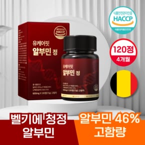 프리미엄 메가 알부민 고함량 먹는 난백 실크 단백질 120정 4개월분