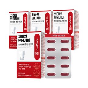 치아엔 덴티케어 60정 4박스