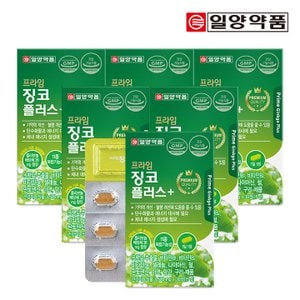 일양약품 프라임 징코 플러스 500mg x 30정 6박스 (총 6개월분)