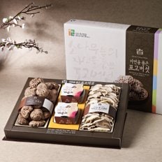 혼합버섯세트4호(흑화고120g+표고버섯가루200g+표고절편80g)