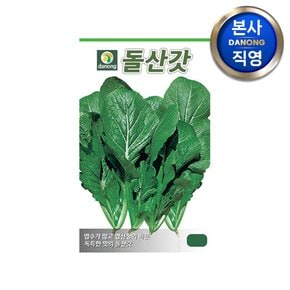 돌산갓 씨앗 10g . 채소 야채 텃밭 파종 재배 주말 농장 씨 종자