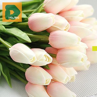 5. 인테리어 조화 ..