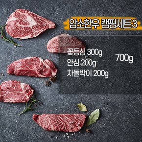 캠핑용 1등급 암소 한우 혼합 바베큐세트 2인 프리미엄 700g (꽃등심300g+안심200g+차돌200g)