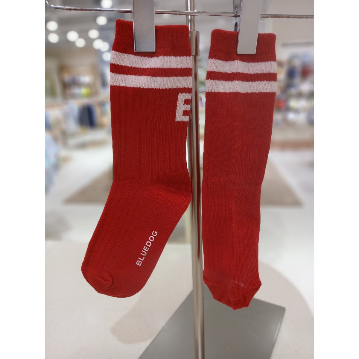 확대된 대표 .