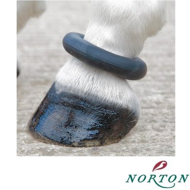 [NORTON] Rubber Pastern Ring 구절보호 고무 링 아대