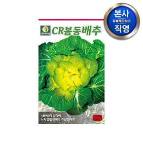 CR봄동 배추 씨앗 500g . 채소 김장 가을 텃밭 파종 결구 월동 씨 종자