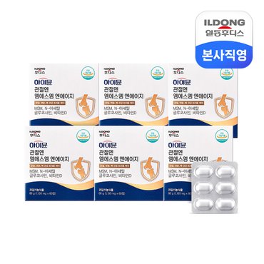 일동후디스 하이뮨 관절엔 MSM NAG 1100mg 60정 6박스