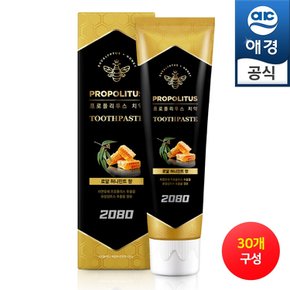 2080 프로폴리투스 치약 로얄 허니민트 100gx30개