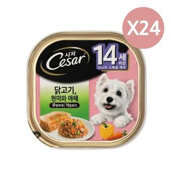  강아지 닭고기 습식 캔 100g 24P 시저 통조림 노견 (W931AAF)_