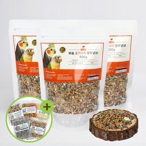 대용량 버솔 공기세척 앵무모이 800g x3 코뉴어 왕관