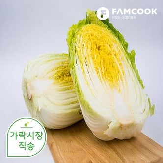 팸쿡 가락시장직송 알배기 배추(쌈배추) 1통
