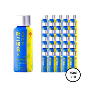 하루한병 마그네슘 100ml x 30개