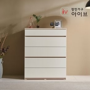 하스 빅사이즈 5단 서랍장