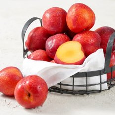 새콤달콤 영천 노지 자두 2kg 중(100g 이상)
