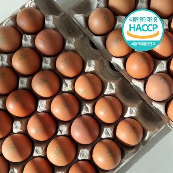 [신선보장][파손포장]신선맛집 대란 구운란 30구 5판