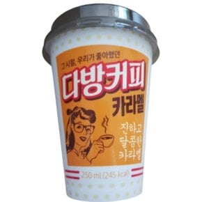 소와나무 다방커피 카라멜, 250ml, 24개