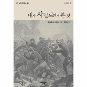 내가 샤일로에서 본 것 미국 남북 전쟁 소설선