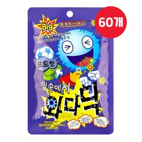 빅 입속에서 와다닥 포도향 9g x 60개