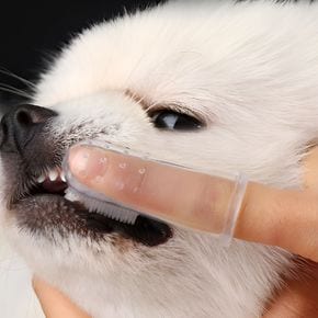 강아지 고양이 실리콘 손가락 칫솔 핑거브러쉬